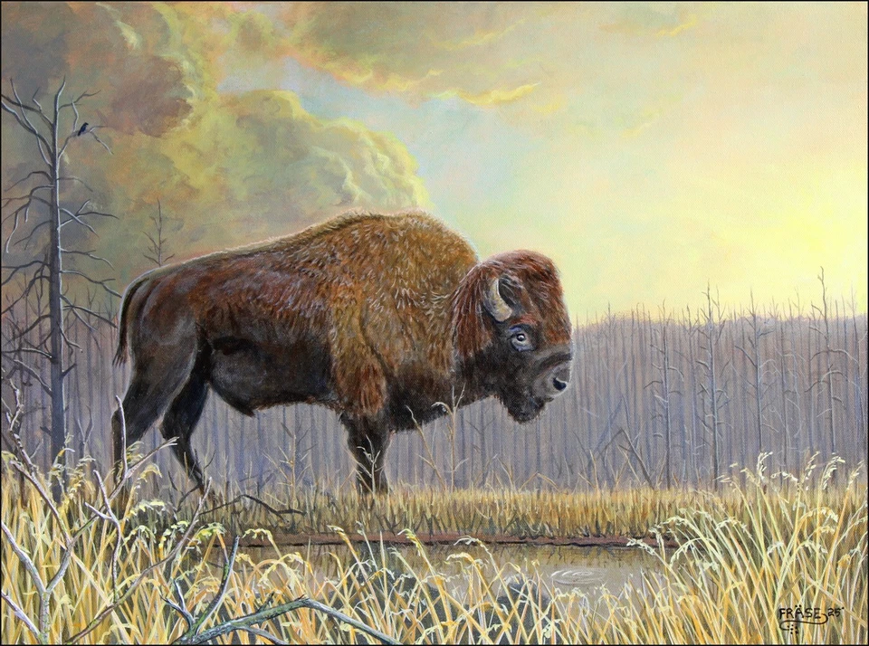 FRASE ORIGINAL PAINTING BISON BUFFALO WILDLIFE ART LANDSCAPE SUNSET YELLOWSTONE - Image 1 of 1