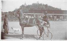 Boudoir Photo of Standardbred Pacer Topsy & Driver Charles Townsend c1900