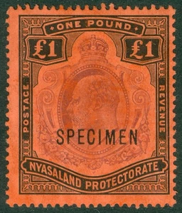 SG 81s Nyasaland 1908-11. £1 purple & black/red, overprinted specimen. A fine.. - Picture 1 of 1
