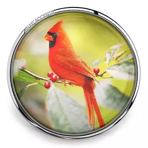 Cardinal Snap Jewelry Ginger Charm 18MM Red Bird Memorial Angel Button - Picture 1 of 9