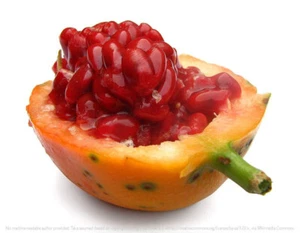 5 X BLUECROWN PASSIONFRUIT SEEDS-RED FLESH-FRUIT TREE-ATTRACTIVE CLIMBER VINE - Picture 1 of 3