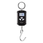 Crane Scale Digital Industrial Heavy Duty Scale Smart High Accuracy Electronic