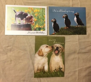 National Wildlife Federation 3-Vtg Collect Animal Birthday Cards 6.5"x5" Paper - Picture 1 of 7