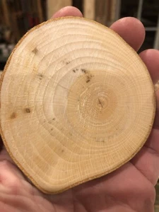 25 ct. 2,5" Durchmesser Buchenholz Keksscheiben rund Live Edge Hochzeit Ornament - Bild 1 von 2