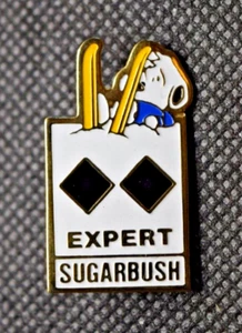 Sugarbush Vermont Ski Resort Snoopy Expert Double Diamond Difficulty Ski Pin - Picture 1 of 3