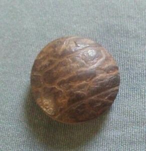 Antique Vegetable Ivory Button with Skin.