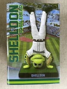 Daytona Tortugas Baseball Team Shelldon Bobble Head Doll NIB Minor League Sports - Picture 1 of 7