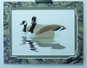 Color Canadian Goose Wildlife Print with Mossy Oak Camo Mat fits 11"x14" frame - Picture 1 of 2