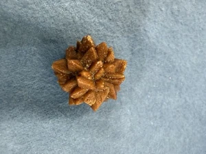 Cristal de Glendonita (Ikaita después de Calcita) de Rusia - 1.0" - 8 Gramos (2) - Imagen 1 de 7