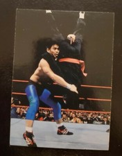 Taka Michinoku 1998 Comic Images WWF Superstarz Card #33 WWE 