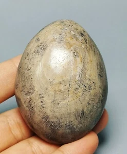 Polished dinosaur bone petrified agatized specimen Gem Stone Sphere Palm Healing - Picture 1 of 10