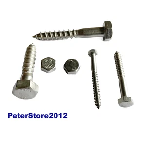 Tornillos de llave tornillos de madera DIN 571 acero inoxidable VA 5mm 6mm 8mm10mm 12mm - Imagen 1 de 1