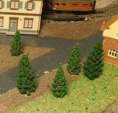 50 Abeti Scuri, Alberi Di Pino, 25 Pezzi Di 48 E 58 Mm Di Altezza - Immagine 1 di 4