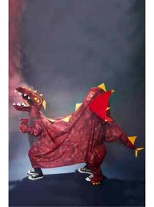 Zwei-Personen Drache Halloween Kostüm für Kinder - Bild 1 von 1