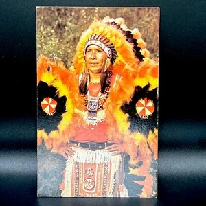 Native American Postcard - Cherokee Indian Chief Vintage - Picture 1 of 6