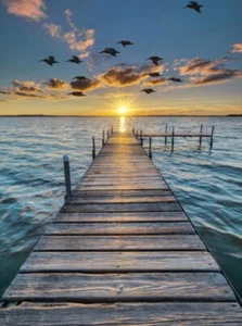 Hoffman Call Of The Wild Ocean Dock Sunset Cotton Quilt Panel 31" x 43" - Picture 1 of 1