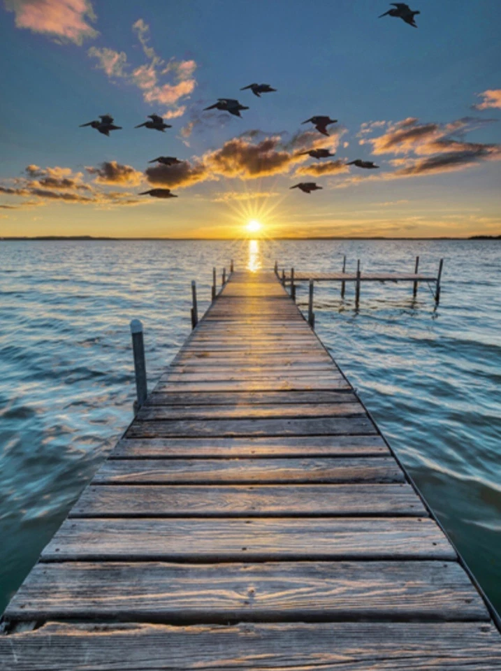 Hoffman Call Of The Wild Ocean Dock Sunset Cotton Quilt Panel 31" x 43" - Image 1 of 1