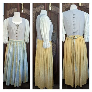 LISOLA Luxe Linen Dirndl 3 Piece Dress Tracht Pewter Buttons Oktoberfest Austria - Picture 1 of 24