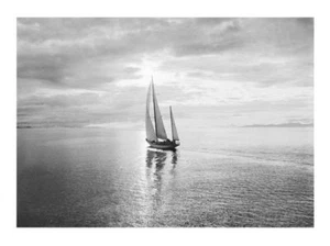 Póster con impresión artística Diamond Head in Swiftsure Race 31,5x12 - Imagen 1 de 1