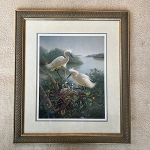 Diane Pierce "Delicate Balance" Signed Limited Edition Print Tropical Birds, 942/950 - Bild 1 von 10
