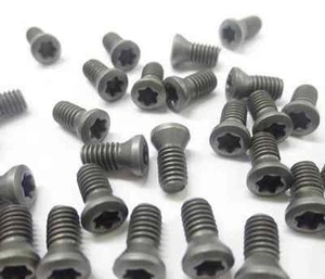 20pcs M3 x 6mm Insert Torx Screw for Carbide Inserts Lathe Tool  M3*0.5 - Picture 1 of 1