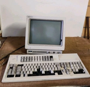 Vintage Computer IBM 3476 InfoWindow CRT + IBM Keyboard 1394317 RARO - Foto 1 di 12
