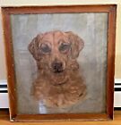Original H R Hildebrand Pastel Painting Drawing Mixed Breed Dog 1953 On Board