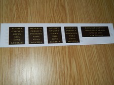 Name decals For Hornby Pullmans VSOE British Pullman train OO Gauge