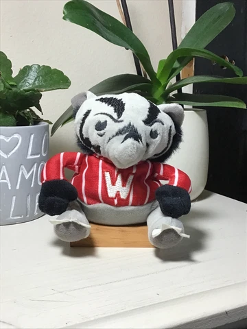 Silly Slammers wisconsin badger stuffed animal mascot Cover