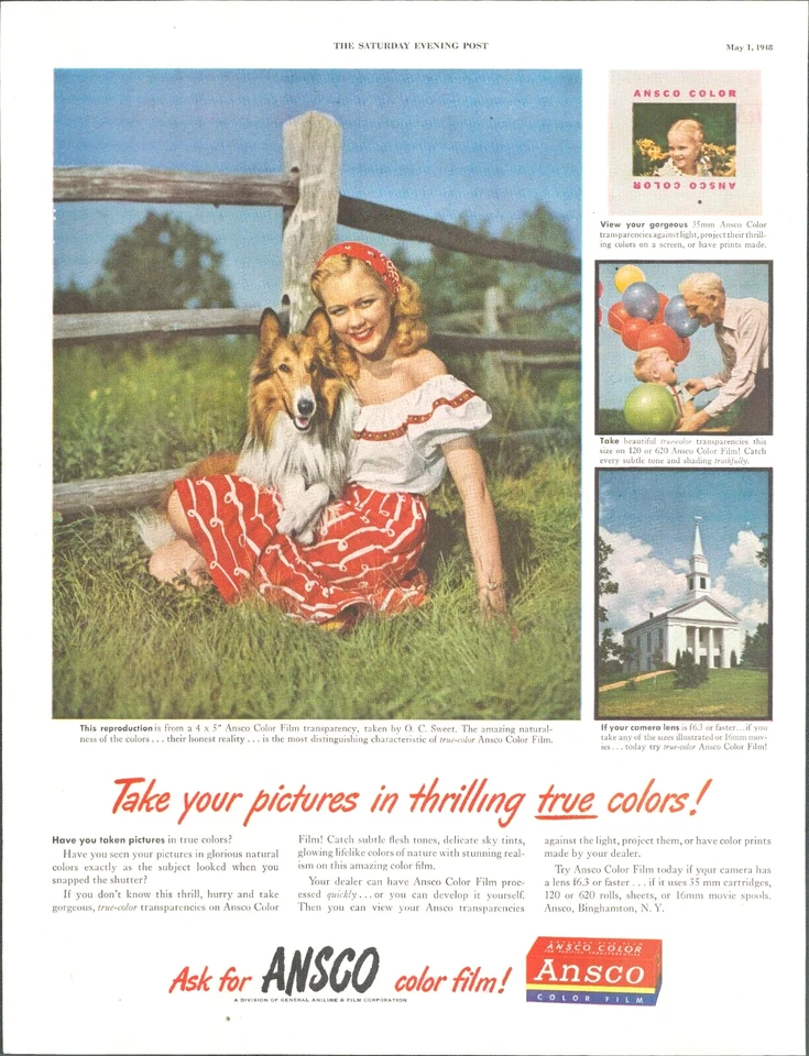 1948 Camera COLOR FILM Photo PRINT AD collie dog meadow church photography - Image 1 of 1