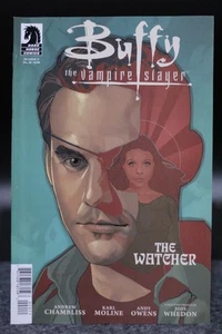 Buffy the Vampire Slayer (2011) Temporada 9 #20 Phil Noto Cubierta Chambliss En muy buen estado - Imagen 1 de 3