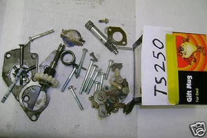 71 72 73 74 75 76 SUZUKI TS250 TS 250 PIEZAS PERNOS CAJA - Imagen 1 de 1