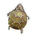 Funny Turtle Shell Pillow Washable Bedroom Birthday Gift Hooded Soft Toy Costume