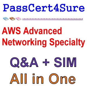 AWS Advanced Networking Specialty ANS-C00 Exam Q&A+SIM - Picture 1 of 1