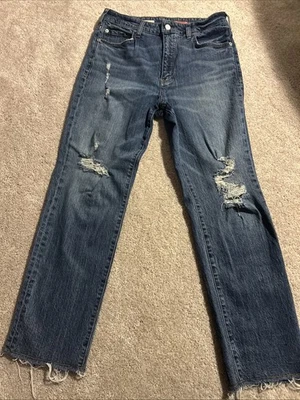 Anthropologie Pilcro 复古直筒复古蓝色牛仔裤原始下摆 30 码 — 第 1/4 张图片