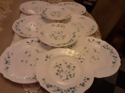 ARCOPAL ANNEES 70 FLEURS BLEUES 6 ASSIETTES PLATES ET 3 ASSIETTES A DESSERT - Photo 1/4
