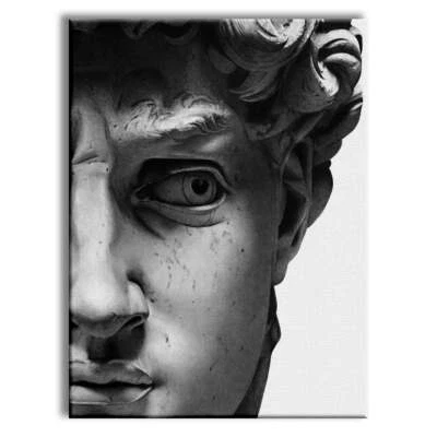 Michelangelo -  Quadro Canvas Contemporaneo su telaio in legno - Immagine 1 di 4