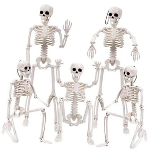 5pcs Halloween Skeleton Decoration, 16” Full Body Posable Halloween 5PCS - Picture 1 of 7