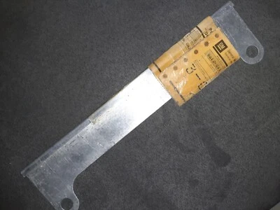 Soporte de licencia delantero NOS 1256401 1978-1979 Buick Century con parachoques pintado Foto 1 de 3