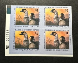 WTDstamps - #JDS16 2008 Platte # Block - US Junior Entenmarke - postfrisch OG NH - Bild 1 von 2