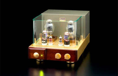 WAVAC MD-300b Single Ended Triode Valve Amplifier 15 Monate alt 240V - Bild 1 von 4