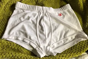 Vintage Champion Athletic Apparel Underwear Briefs White Men’s Size L (36/38) - Picture 1 of 5