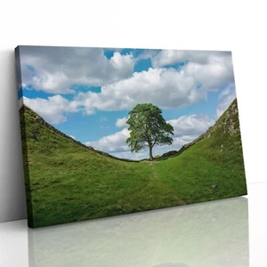 Sycamore Gap Hadrians Wand Northumberland Leinwanddruck Bild gerahmt Wandkunst - Bild 1 von 44