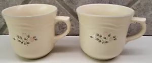 Juego de 2 tazas de café vintage Pfaltzgraff recuerdo 8 fl oz hechas en EE. UU. - Imagen 1 de 7