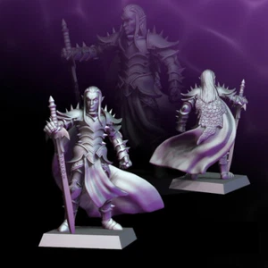 Dark Elf Prince - Tyrant of the Dark Legions - Picture 1 of 1