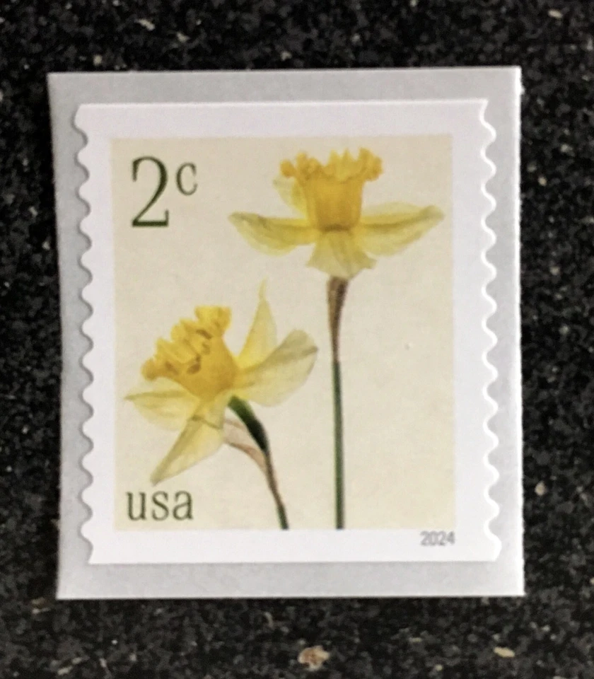 2024USA #5903 2c Daffodils - Coil Single  Mint  NH    flower - Image 1 of 1