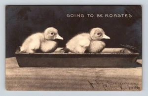 RPPC Lime Rock Connecticut - Going to be Roasted - Rotograph Postcard 1906 - Picture 1 of 2