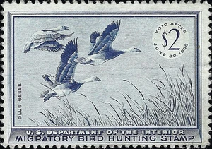 US Scott #RW22 Mint No Gum VF 2.00 1955 US Federal Duck Stamp CV 20.00 - Picture 1 of 1