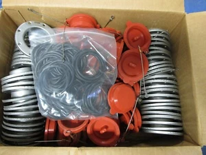 INSPEKTIONSSTECKER 2,5 ZOLL SS MIT GUMMIEINSATZ & SCHLÜSSELBAND #INPT25SSFSCOSA - STCK. 50 - Bild 1 von 2