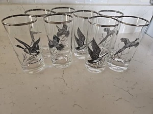 Vintage Assorted Waterfowl Set Of 8 Glasses Silver Rim Federal Glass 5.5" EUC - Picture 1 of 7
